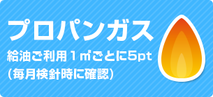 プロパンガス ご利用1㎡ごとに5pt(毎月検針時に確認)