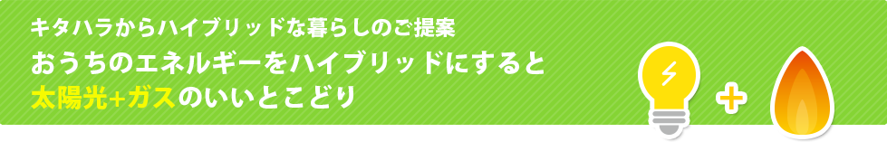 太陽光とガスのいいとこ取り